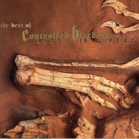 Tormentor's Song - Controlled Bleeding