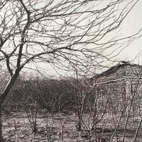 Amanhecer - Bruno Masi