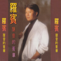 愛恨情愁 - 羅賓