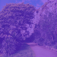Smooth Moods for Rejuvenation - Dinner Music
