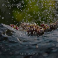 Maravillas Submarinas - Sonido de lluvia & Ambiente & Musica Para Relajarse