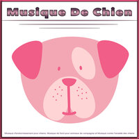 Musique pour chien à la guitare - Musique Calmante Pour Chiens & Musique D'Endormissement Pour Chiens & Musique pour Chiens