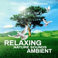 Natural Sounds - Nature Sounds Meditation