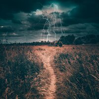 Rolling Forest Rains - Schlaflieder Für Kinder & Natural Sounds & Musica relajante