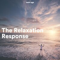 Lullaby - Vital Energy Duo & Calming Rainforest Sound & Vital Energy Duo & Calming Rainforest Sound