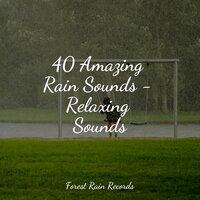 Small Campfire - The White Noise Zen & Meditation Sound Lab & Rainforest Sounds & Alpha Waves