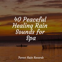Rain, Drain, Cement, Lawn - Oasis of Meditation & Natural Rain Sounds for Sleeping & Ambient Rain