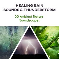 Holistic Healing: Sound Dreamer - Meditation Yoga Music Masters