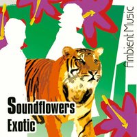 Rithym Land - Ecosound