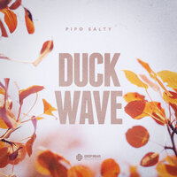 Duck Wave - PIPO SALTY