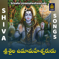 Pushkarala sambarale malanna - Akunuri Devayya
