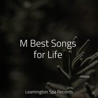 Calming New Age - Winds and Oceans & Musica Para Dormir y Sonidos de la Naturaleza & Binaural Beats Brain Waves Isochronic Tones Brainwave Entrainment
