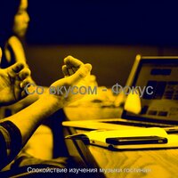Видения (Фокус) - Спокойствие изучения музыки гостиная