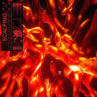 Deadlock - Scaler