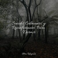 Armonías Relajantes - Sonidos de la Naturaleza para Dormir & Musicas Crianças & Musica para Dormir 101
