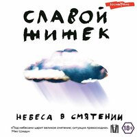 Славой Жижек. «Небеса в смятении». Часть 30 - Филипп Матвеев-Витовский