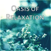 Body and Soul - Oasis of Relaxation