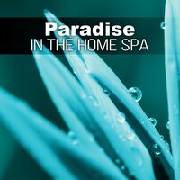 Luxury Spa (Wellness Spa) - Healing Oriental Spa Collection