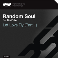 Let Love Fly - Random Soul & Tim Fuller & Vernon & Dacosta