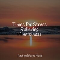 Soothing Songbird - The Relaxation Principle & Relaxing Mindfulness Meditation Relaxation Maestro & Deep Sleep Music Academy