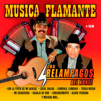 El Suspiro - Los Relampagos del Norte