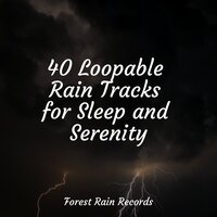 Rain, Glass, Window Pane - Nature Music Pregnancy Academy & Nature & Sounds Backgrounds & SleepTherapy