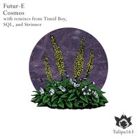 Mycenaean Princess - Futur-E