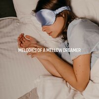Luminous Moonlight - Sound Sleeping