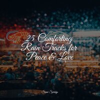 Easy Droplets - Rain Sounds & Nature Sounds & Rain Man Sounds & Sounds of Nature: Thunderstorm, Rain