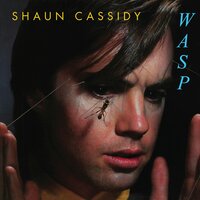 Shake Me, Wake Me (When It's Over) - Shaun Cassidy