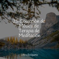 Sereno Y Calmante - Meditação Maestro & Sueño Profundo & Lluvia PQ