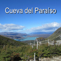 Refugio Calmo - Estimulacion Mental
