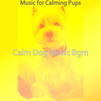 Breathtaking Solo Piano Jazz - Vibe for Calming Pups - Calm Dog Music Bgm
