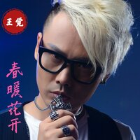 春暖花开 - 王觉 & DJ晓冬