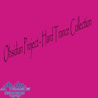 Fly - Obsidian Project