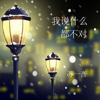 我说什么都不对 - 苏一音
