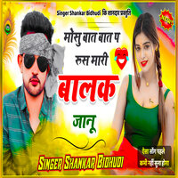 Mosu Baat Baat Pa Rus Maru Balak Jaanu - Shankar Bidhudi