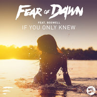 If You Only Knew - Fear Of Dawn & Boswell & Vanilla Ace
