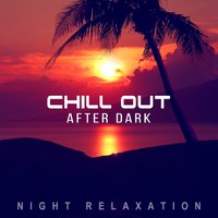 Lounge Atmosphere: Background Music - DJ Infinity Night
