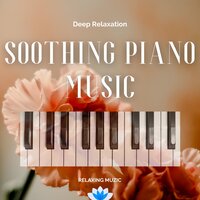 Zen Meditation - Relaxing Muzic