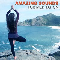 Music Therapy - Pure Meditation Collection