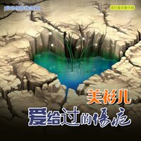 爱给过的伤疤 - 美衫儿