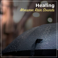 Stormy Night - Rain Forest FX, Pacific Rim Nature Sounds, Nature Chillout & Pacific Rim Nature Sounds & Nature Chillout & Rain Forest FX