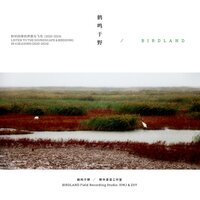 尾曲：天地玄黄（Coda: The universe is dark and yellow） - 鹤鸣于野 & 黄勇 & 贺文进