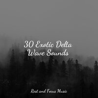 Totally Relaxing - Pink Noise & Wellness & Sounds of Nature White Noise for Mindfulness Meditation and Relaxation
