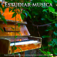 Sonidos de la naturaleza - Sonidos de aves - Musica Para estudiar Academy & Musica para Concentrarse & Musica para Estudiar