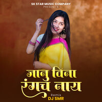 Janu Vina Rangach Naay - Rani Maske & Sachin Jadhav & DJ SMR