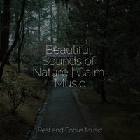 Tranquil Meditation - Trouble Sleeping Music Universe & Binaural Beats Brain Waves Isochronic Tones Brainwave Entrainment & Smart Baby Lullaby