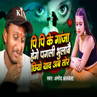 Pi Pi Ke Gaja Hege Pagli Bhulabae Chhiyo Yad Ab Tor - Amod Alvela