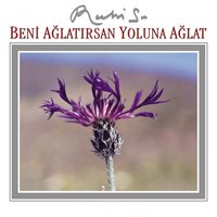 Güzel Yarin Ellerine - Ruhi Su